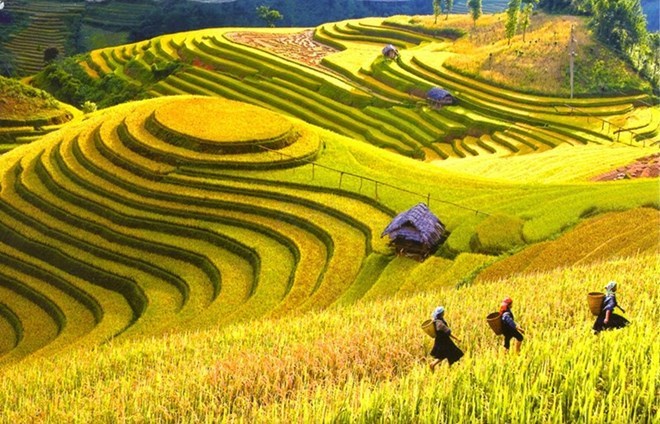 Le festival d été de Sapa met en lumière la culture populaire