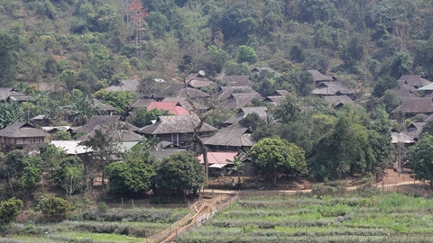 À Lai Châu, les Thai restent fidèles à leurs maisons en bois