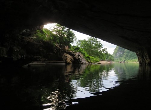 Jardin botanique Phong Nha-Ke Bang un lieu aimant d’écotourisme