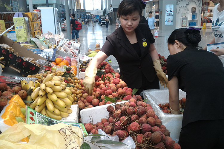 Le litchi vietnamien s’affirme progressivement dans le monde