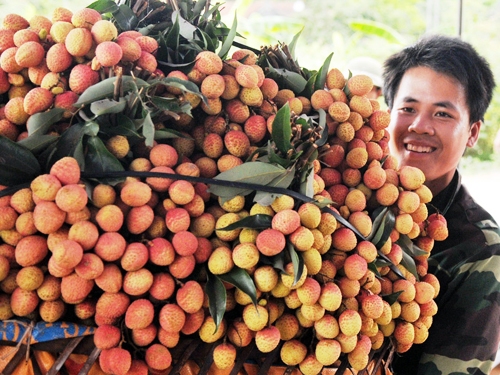 De plus en plus de produits vietnamiens dans les supermarchés européens