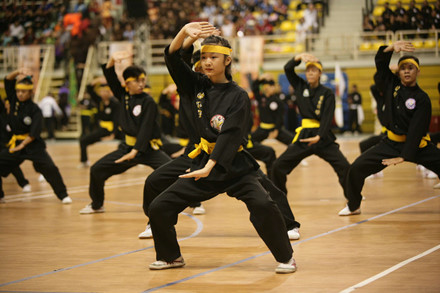 Clôture des premiers Championnats du monde d arts martiaux traditionnels vietnamiens