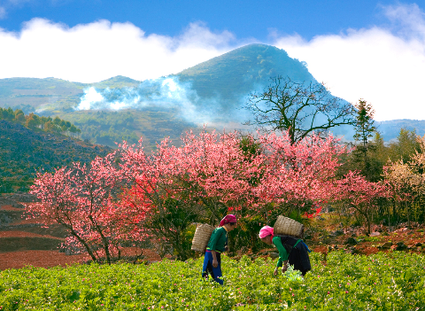Exposition sur les réalisations de la province d’Ha Giang