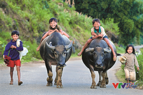 Promotion du tourisme du Vietnam à travers l’exposition “Sourire vietnamien”