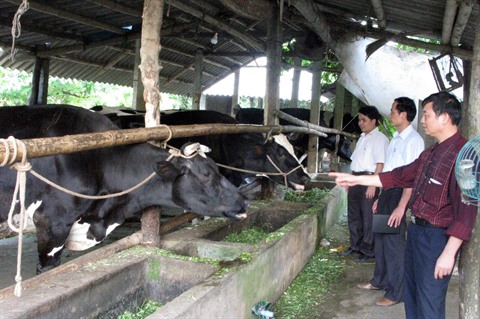 Vietnam-Belgique perspectives de la coopération Gembloux-Vietnam dans le développement rural