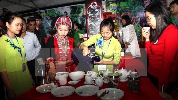 Festival du thé biologique à Hà Giang