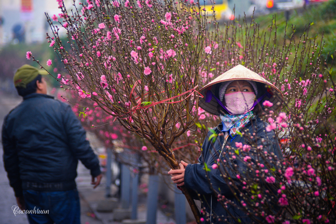 Le marché aux fleurs de Quang Ba, une destination à ne pas manquer à l’occasion du Têt, selon CNN