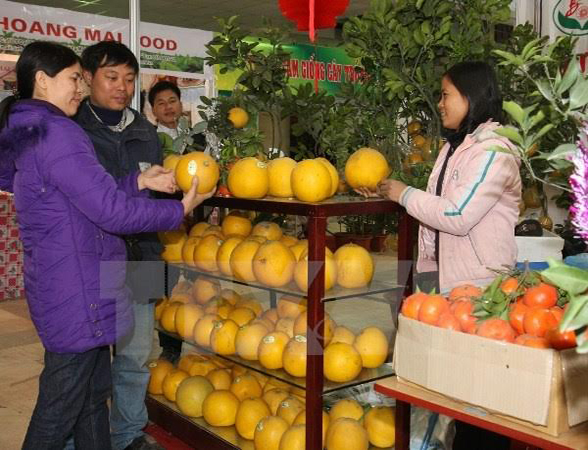 Diverses activités prévues lors de la Foire printanière 2017 à Hanoi