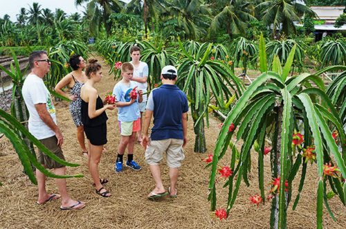 Tourisme le Vietnam table sur l’objectif de 35 milliards de dollars dans 4 prochaines années