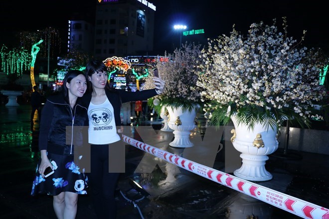 Fête des échanges culturels Hai Phong-Japon
