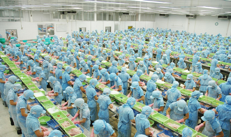 Création de près de 12 100 entreprises à Hô Chi Minh-Ville en 4 mois