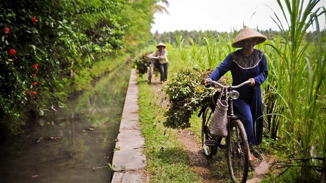 La BAD aide l’Indonésie à atteindre la sécurité alimentaire