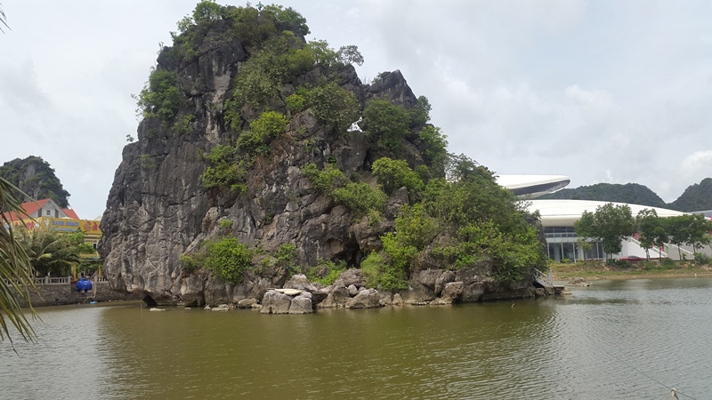 Le penjing le plus grand du pays à Quang Ninh
