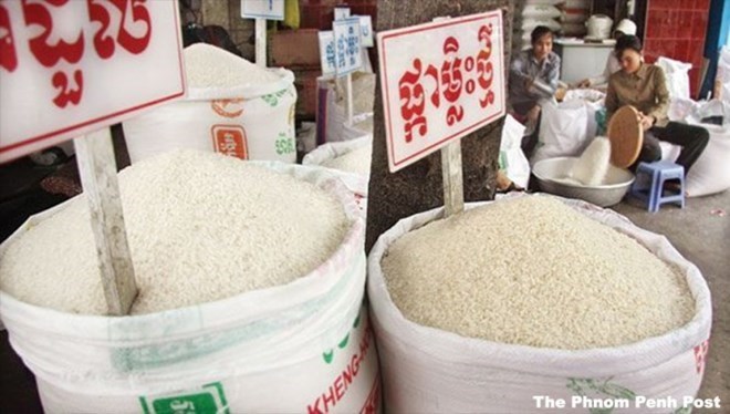 Cambodge les exportations de riz en hausse de 10