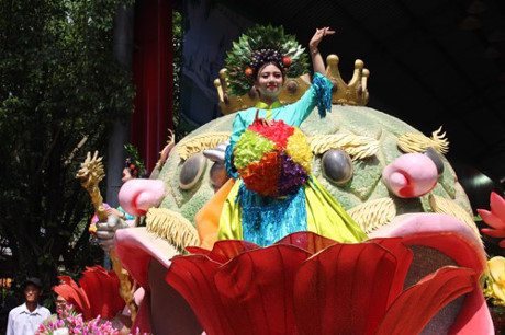 HCM-V  Ouverture du festival des produits du Sud 2017