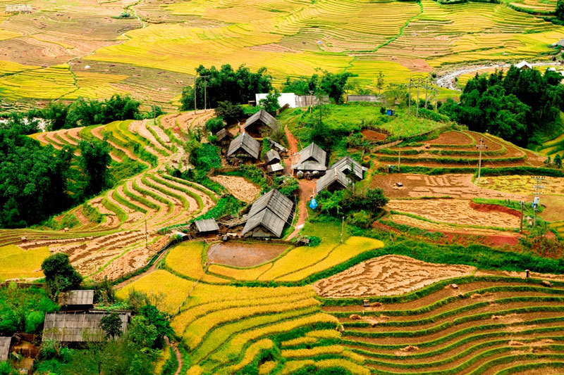 Les rizières en terrasse de Sapa parmi les plus belles du monde