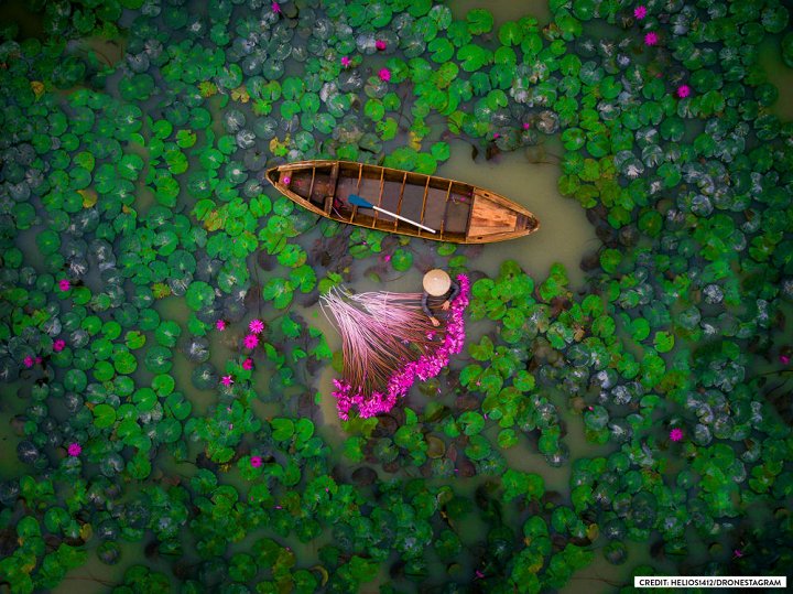 Une photo prise au Vietnam gagne le concours photo Dronestagram