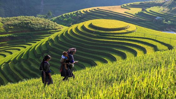 Lao Cai  De nombreuses activités lors de la Fête touristique d Automne Sa Pa 2017
