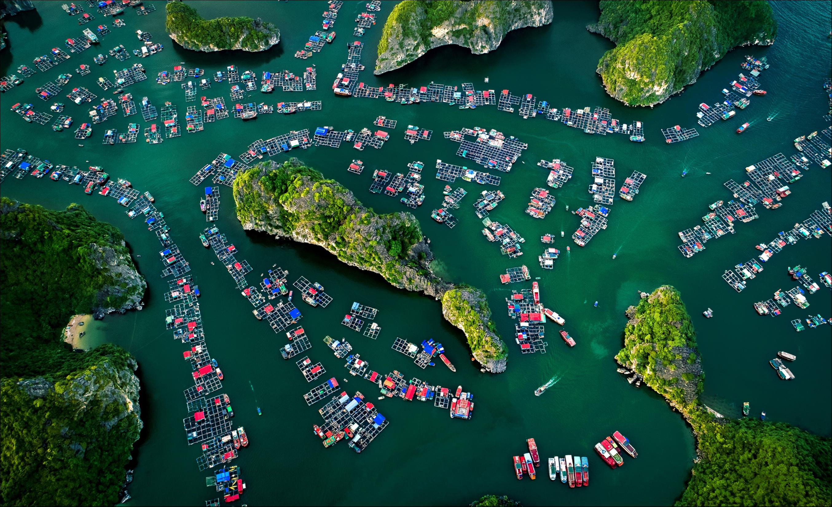 Les empreintes du Vietnam  les photos primées sur le village flottant et la mine de Bach Ho