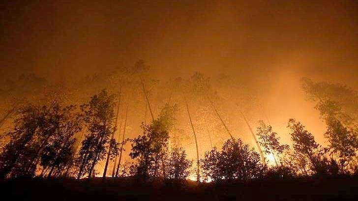 Feux de forêt au Portugal  Les condoléances du Vietnam