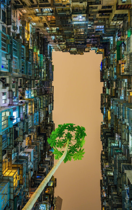 Exposition des meilleurs clichés du Festival des jeunes photographes
