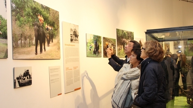 Une exposition dévoile le rôle des éléphants dans la vie des ethnies des Hauts plateaux du Centre