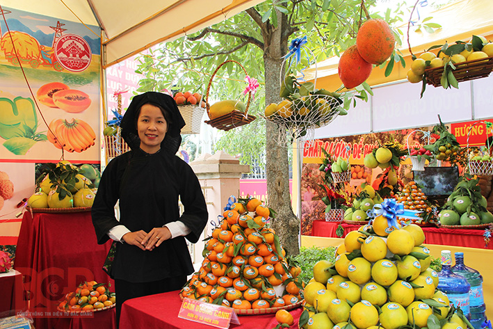 Bac Giang bientôt la 2e Fête des fruits de Luc Ngan 2017