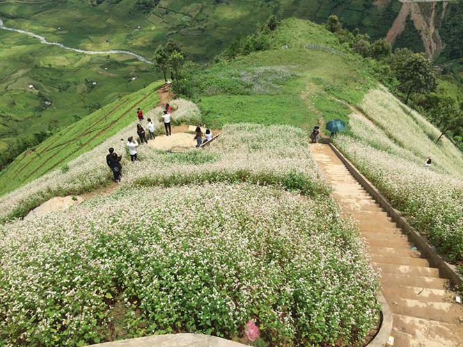 Mu Cang Chai parmi les zones montagneuses les plus belles du monde