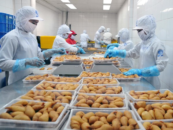 2017 bond des exportations de marchandises d’Hô Chi Minh-Ville