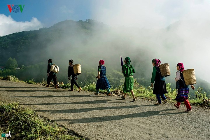 Découverte de la vie quotidienne sur le haut plateau de Dông Van