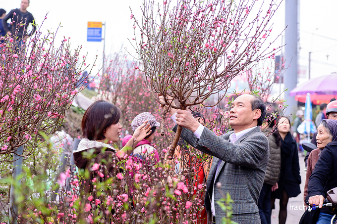 Les marchés aux fleurs de Hanoï à l occasion du Têt