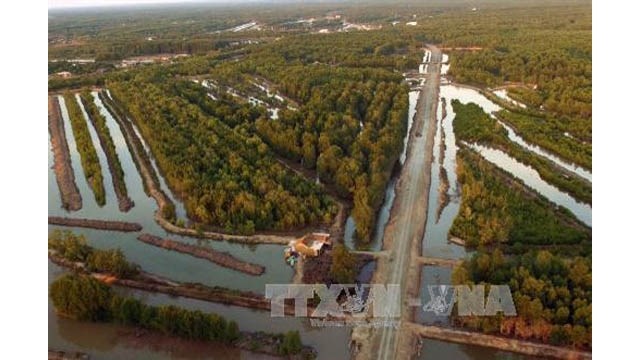 Aménagement du parc national de Mui Cà Mau pour le développement durable