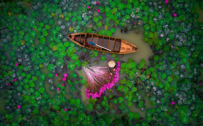 Une photo prise au Vietnam parmi les plus impressionnantes du monde