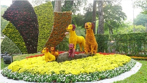 Ouverture du Festival des fleurs du printemps au parc Tao Dàn