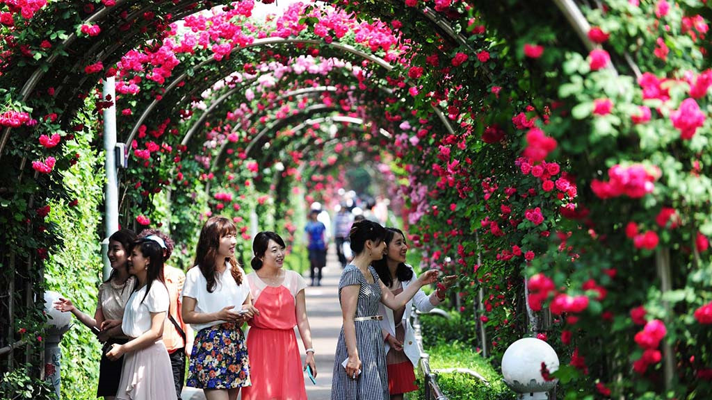 La Fête des roses de la Bulgarie fait soin retour à Hanoï