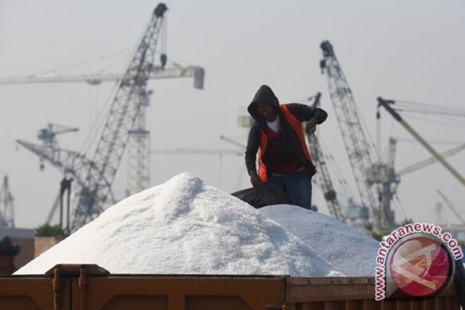 L Indonésie étudie la possibilité de suspendre l importation de sel en 2020