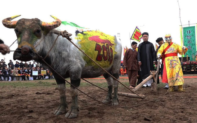 Ha Nam  la fête Tich Diên 2018
