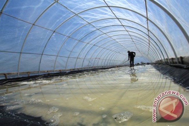 L’Indonésie importera 3,7 millions de tonnes de sel industriel
