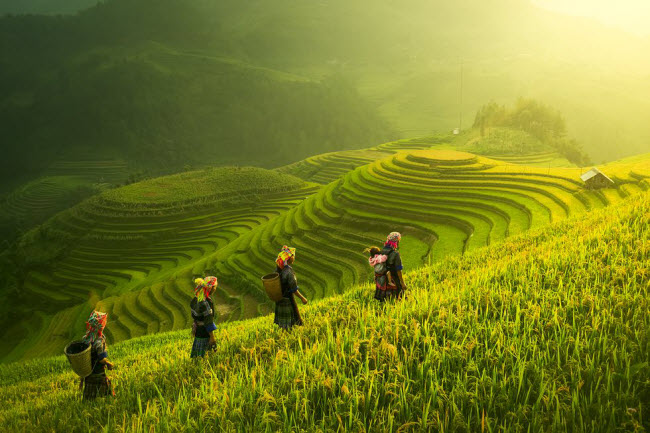 La baie d’Ha Long et Mu Cang Chai parmi les plus beaux endroits du monde