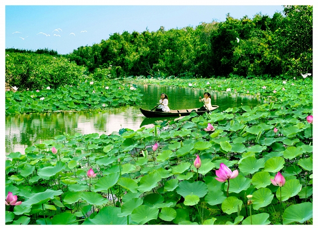 Dông Thap  Fête des fleurs de lotus 2018