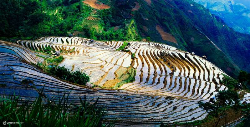 Beauté majestueuse des rizières en terrasses de Mu Cang Chai à la saison des pluies