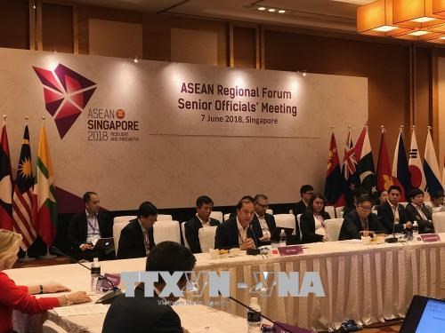 Le Vietnam aux réunions des hauts offciels de l ASEAN+3, de l EAS et de l ARF