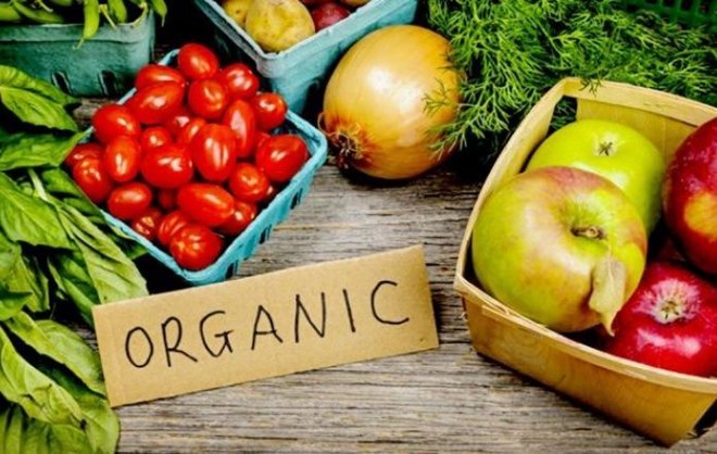 L Indonésie renforce l exportation de produits bio