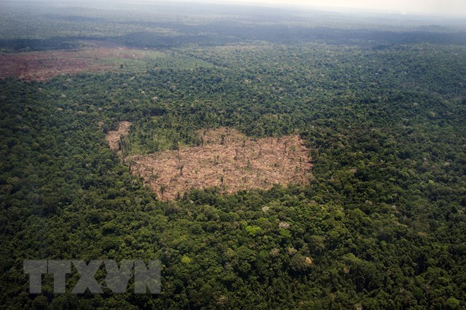 La Chine aide le Cambodge à protéger l environnement