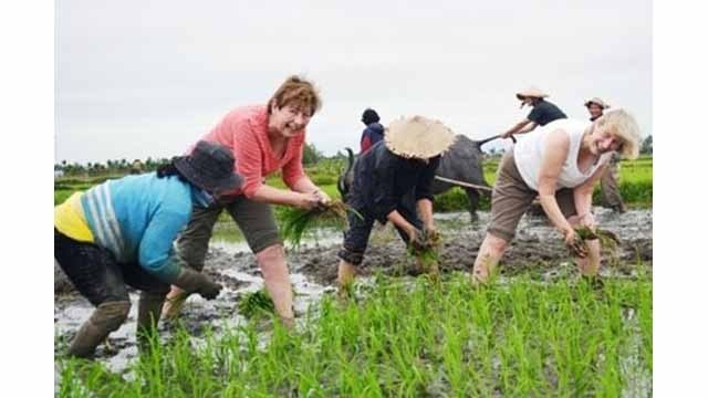 Développement du tourisme communautaire au Vietnam