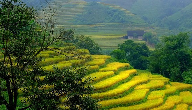 Festival d automne de Bat Xat 2018 à Lao Cai