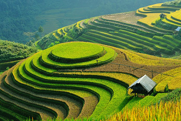 Honorer la beauté La terre et l’homme de Hoang Su Phi