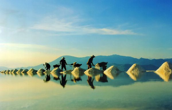 La beauté attrayante des champs de sel au Vietnam