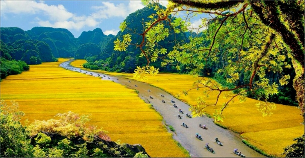 Exploiter efficacement le potentiel touristique culturel de Ninh Binh