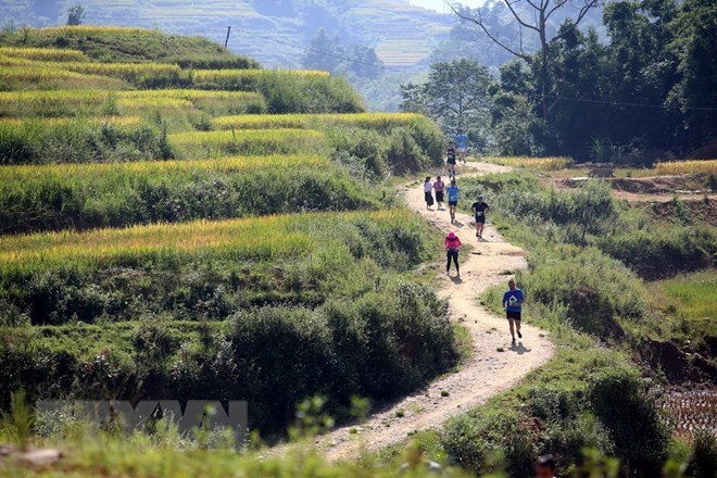 Lao Cai Plus de 3 100 coureurs au marathon des montagnes du Vietnam 2018